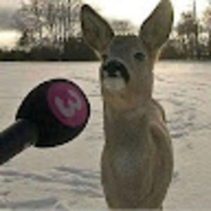 Meet your Posher, Maximus